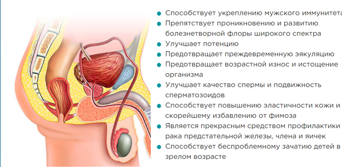 Действие Урутрина